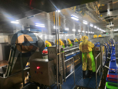 Línea automática de procesamiento de cangrejos de río de alta capacidad