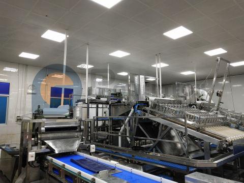 Línea de procesamiento PUD Vannamei automática multifuncional