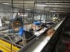 Línea de producción de pelado automático de camarones capturados en el mar de alta capacidad