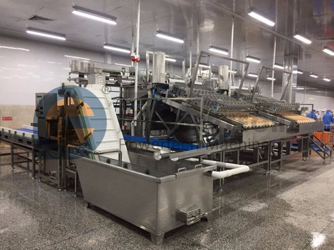 Cadena de producción automática de pelado de camarones de alta eficiencia y alta rentabilidad