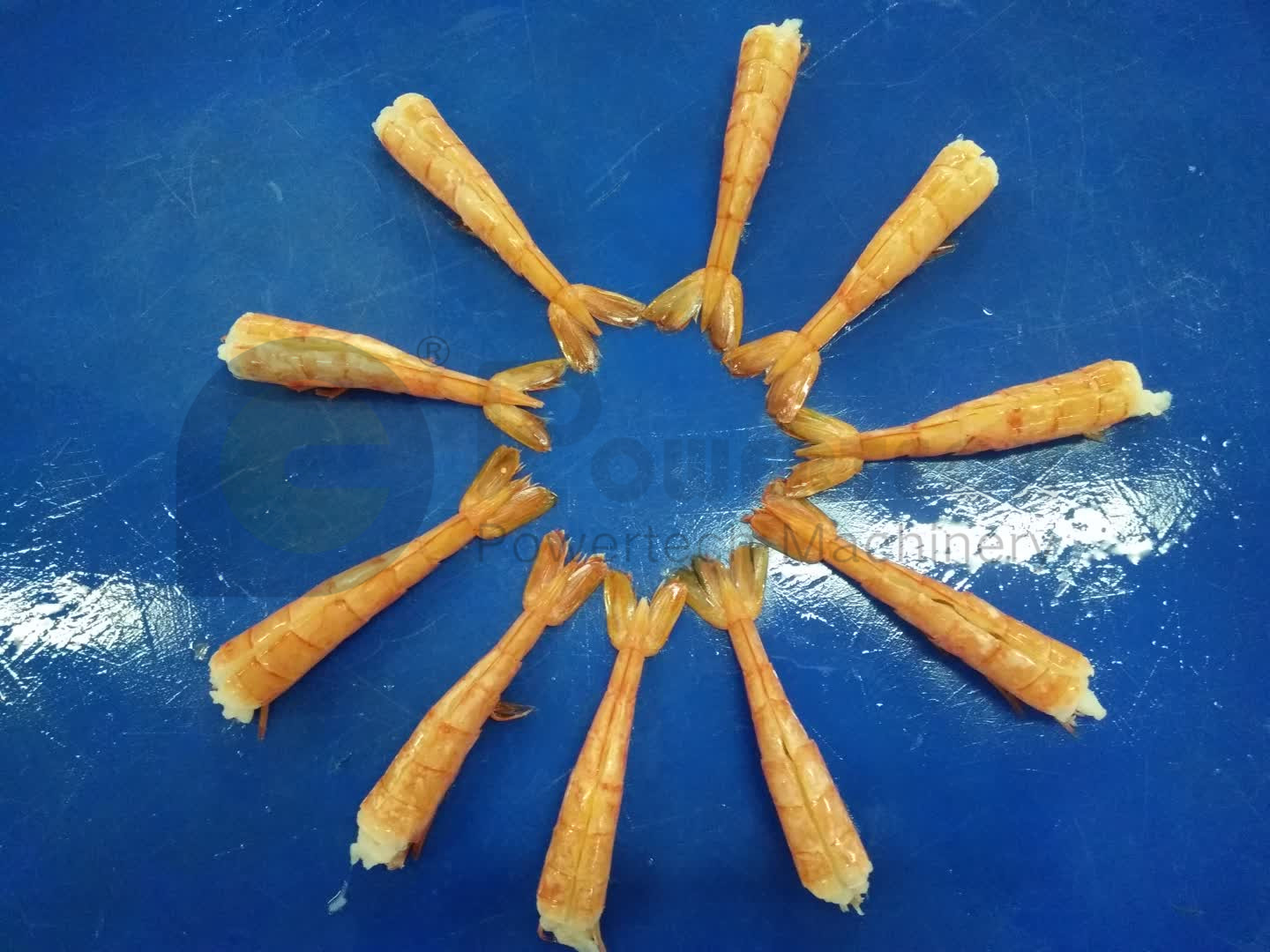 微信图片_20180119143323_副本