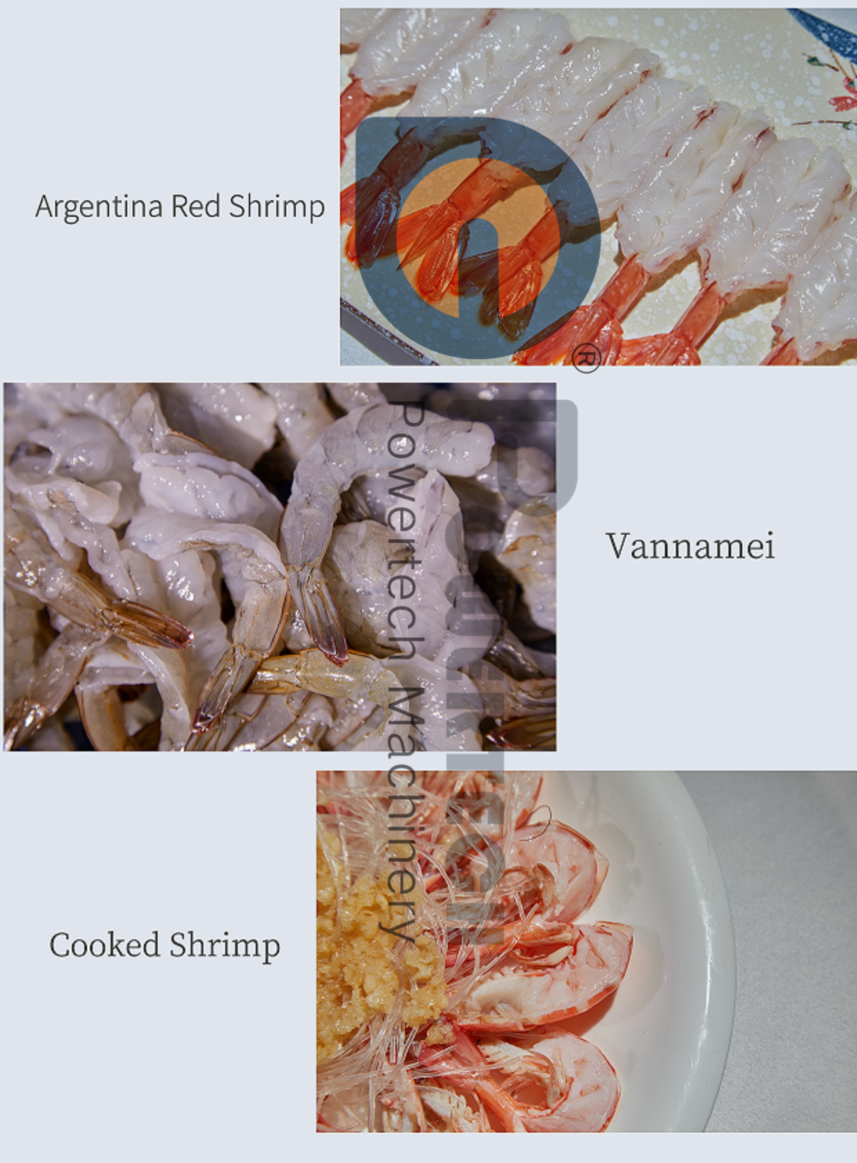 图怪兽_5d30786ed27480042ef6f8b0f9a3f1da_26943_副本