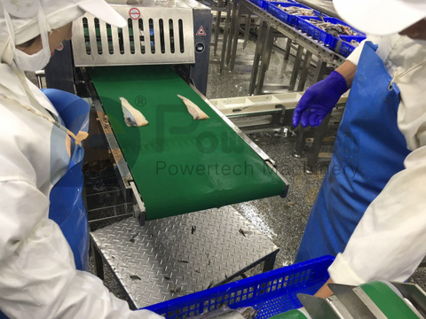 Máquina automática para pelar pescado Pollock