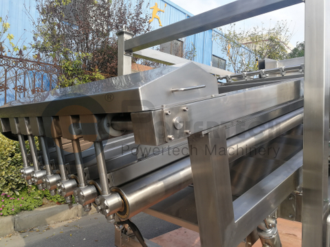 Clasificadora industrial de pescado de calidad alimentaria y seguridad alimentaria