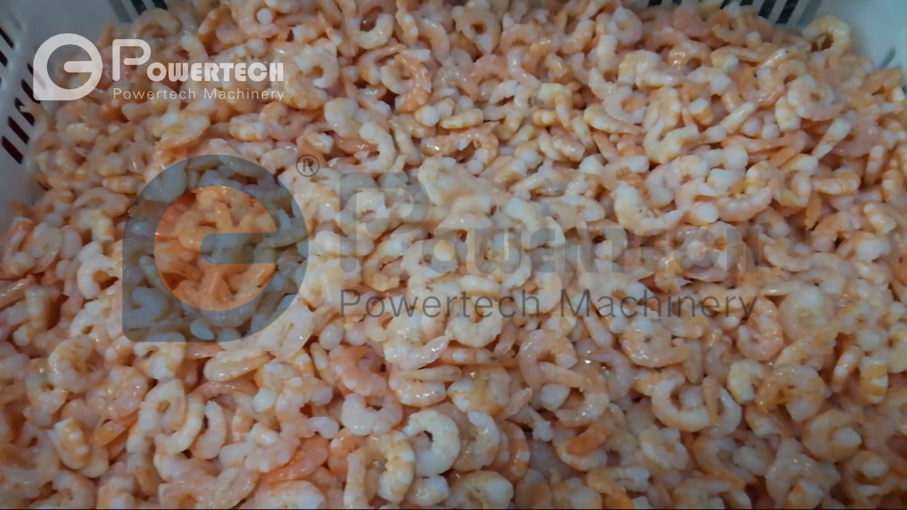 Línea de producción de pelado automático de camarones cocidos con cabeza