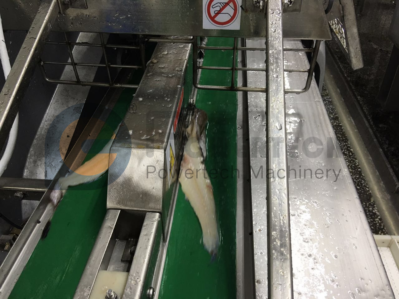 Máquina automática de fileteado de pescado de fácil operación