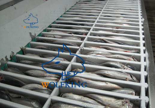 Práctico mantenimiento y servicio Congelador vertical de placas