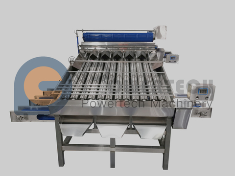 Clasificadora automática de camarones capturados en el mar