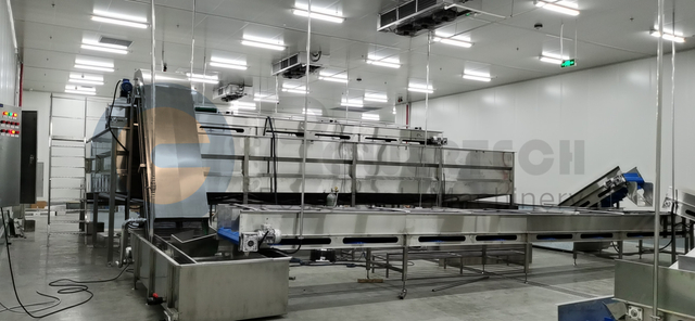 Línea automática de solución total de bagre