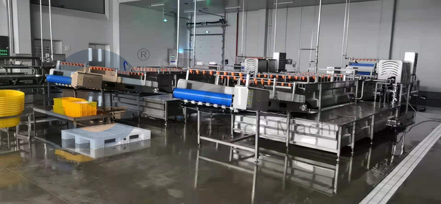 Línea de procesamiento de bagre de grado alimenticio industrial