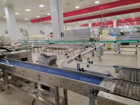 Línea transportadora de congelación de helados flexible y multifuncional