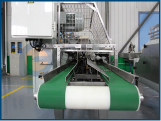 Máquina fileteadora de pescado de higiene y seguridad alimentaria