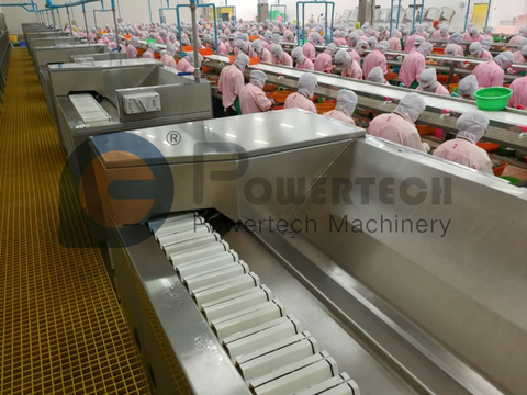 Máquina de pelado y desvenado de camarones de bajo costo de operación y alta rentabilidad