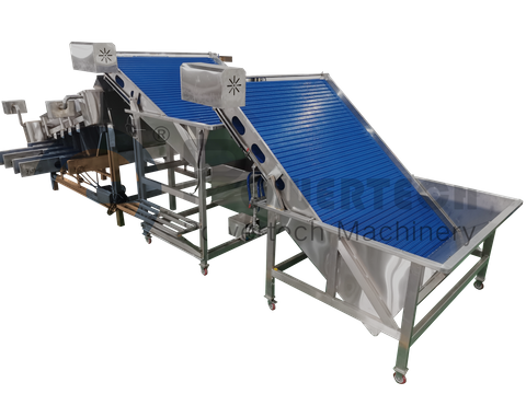 Clasificadora automática de camarones de alta eficiencia