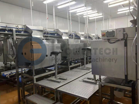 Máquina peladora y desvenadora de camarones automática y de alta calidad