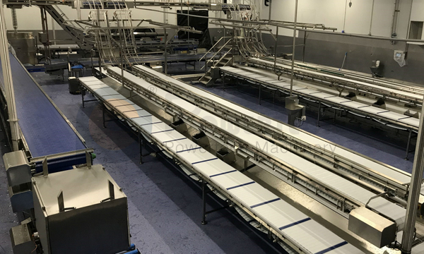 Línea automática de procesamiento de aves de corral de fácil operación