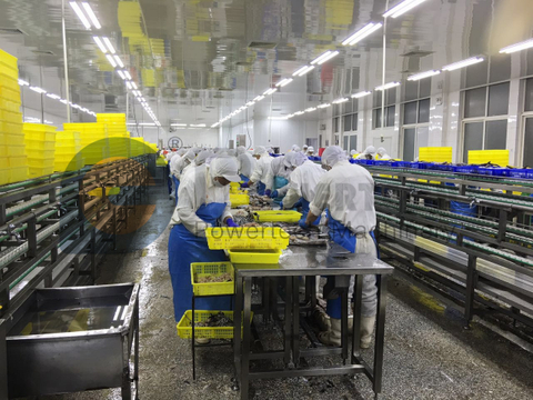 Máquina automática de pelado profundo de pescado con el costo de operación más bajo