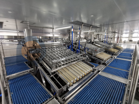 Línea de producción automática de pelado de camarones e higiene de la seguridad alimentaria