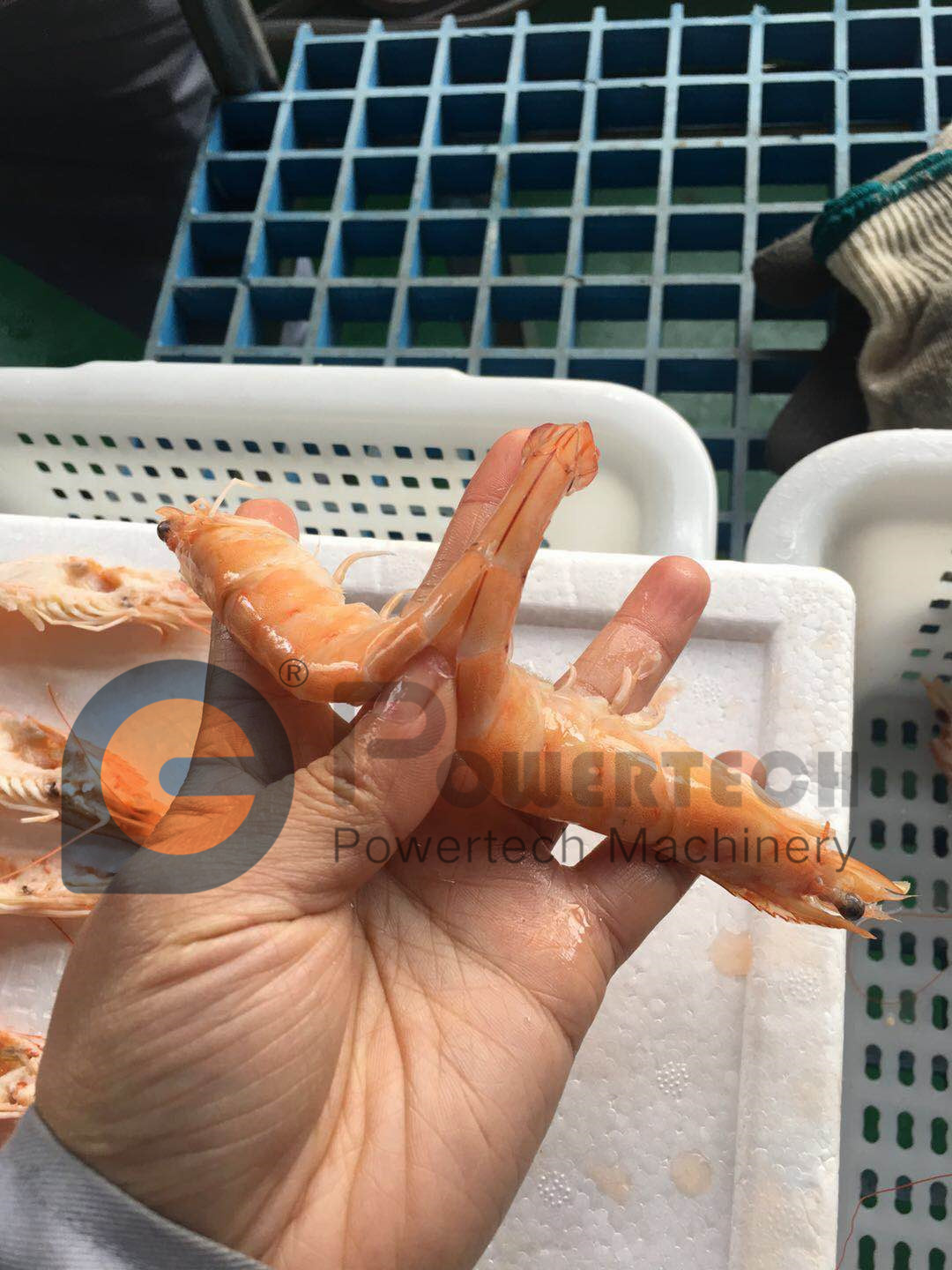 微信图片_20200715110820_副本