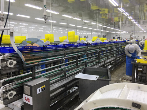 Máquina automática de fileteado de pescado de menor costo de operación