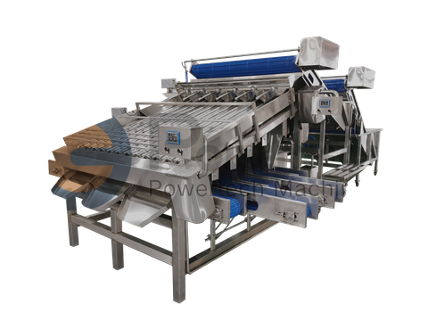 Práctico servicio de mantenimiento de la máquina clasificadora de camarones