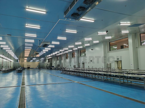 Línea de procesamiento automático de bagre con el costo de operación más bajo