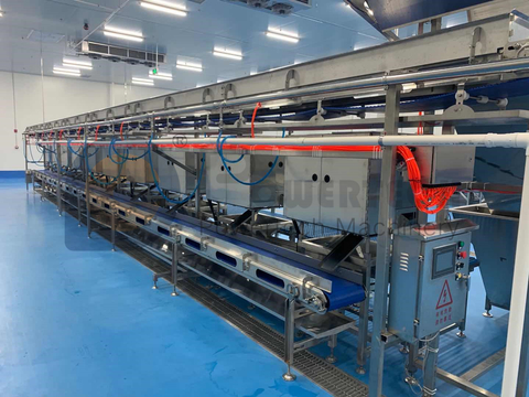 Línea automática de procesamiento de desvenado Vannmei de alta capacidad