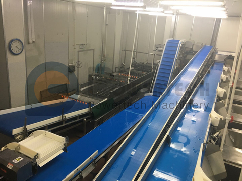 Línea de procesamiento de desvenado Vannmei de fácil operación completamente automática