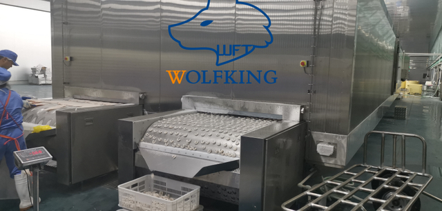 Congelador de túnel estándar europeo de tecnología avanzada