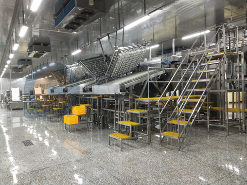 Línea de producción automática de pelado de camarones de grado alimenticio industrial