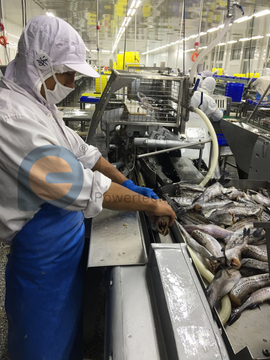 Máquina automática de fileteado de pescado de fácil operación