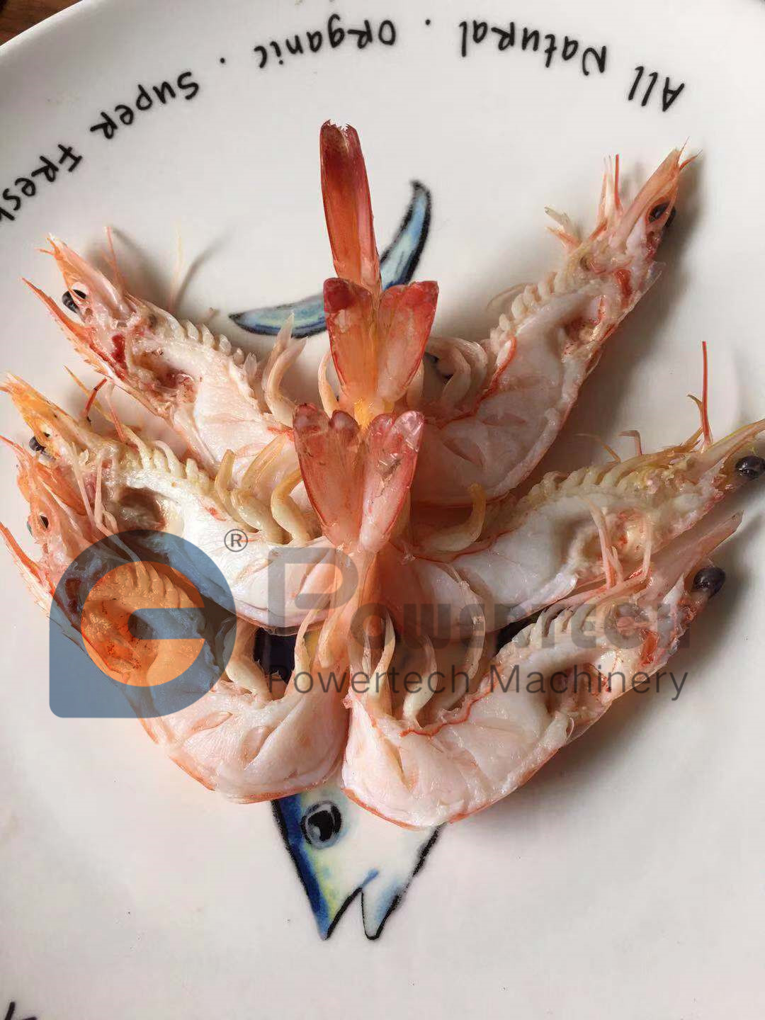 微信图片_20200715111729_副本