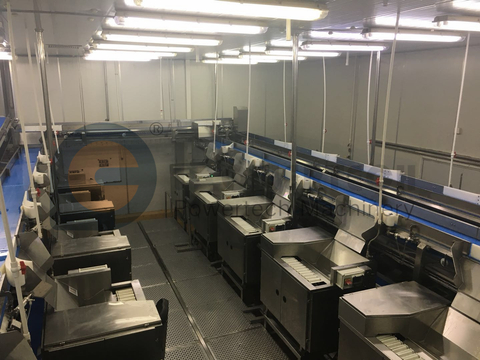 Línea de procesamiento de desvenado Vannamei automática flexible