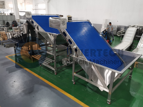 Clasificadora automática de camarones Vannamei