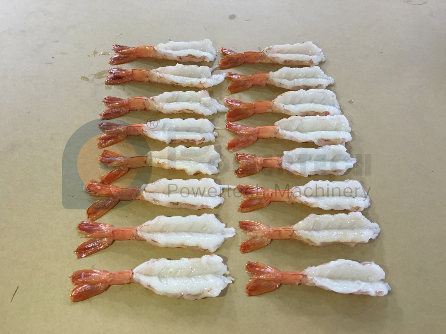 163410424560499821_副本