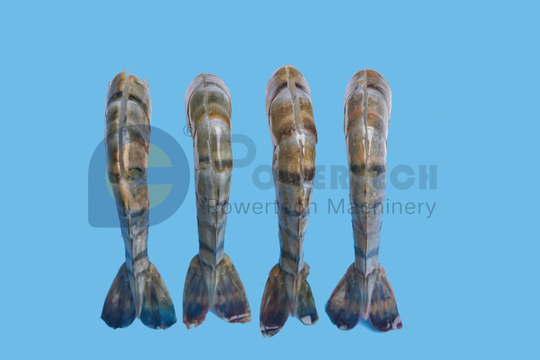 Máquina de pelado y desvenado de camarones de restaurante de camarones tigre negro fácil de procesar