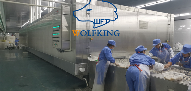 Congelador de túnel de congelación rápida de pérdida de peso mínima